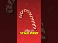 DIY Macrame Candy Cane: The 15-Minute Flat Woven Ornament (Day 28) #shorts #macrame #christmas