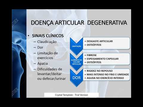 Vídeo: Doença Articular Degenerativa (DJD) Em Coelhos