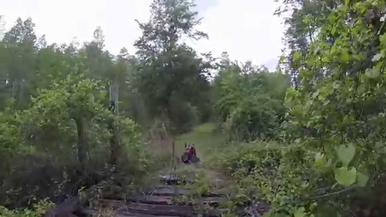 Old Railroad Trestle in Goethe State Forest - YouTube Old Railroad Trestle in Goethe State Forest - YouTube