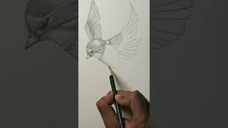 Bird wing sketching #shorts #youtubeshorts #artist #eyedrawing