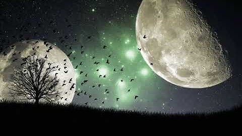 القارئ صوفي الصومالي