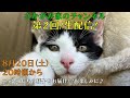 【生配信】さかがみ家より第２回生配信！坂上パパ登場！？　２０２２年８月２０日（土）２０時頃から