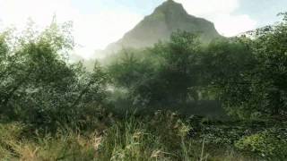 Crysis 1080p maximum quality test.