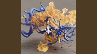 Night After Night (CamelPhat Remix) - Fideles, CamelPhat & Be No Rain