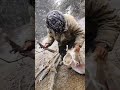 没柴火了,即使下大雪也得上山找柴,在外面的日子太难了