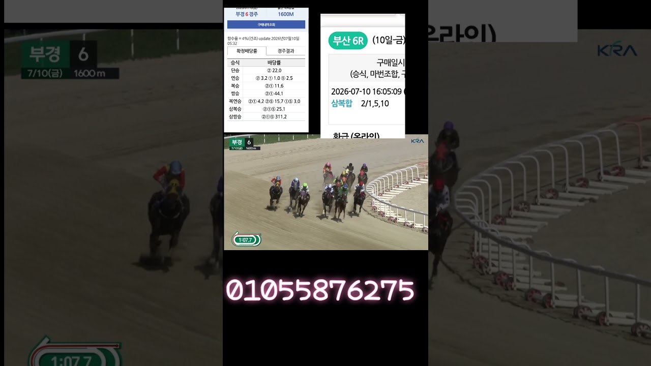 공개된번호2-1-5 배당좋네요01055876275