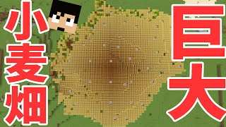 【カズクラ2020】使い道が謎の巨大小麦畑作ってみた！マイクラ実況 PART82