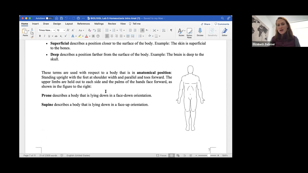 Lab 5 (Homeostasis and Intro to Anatomy) - YouTube