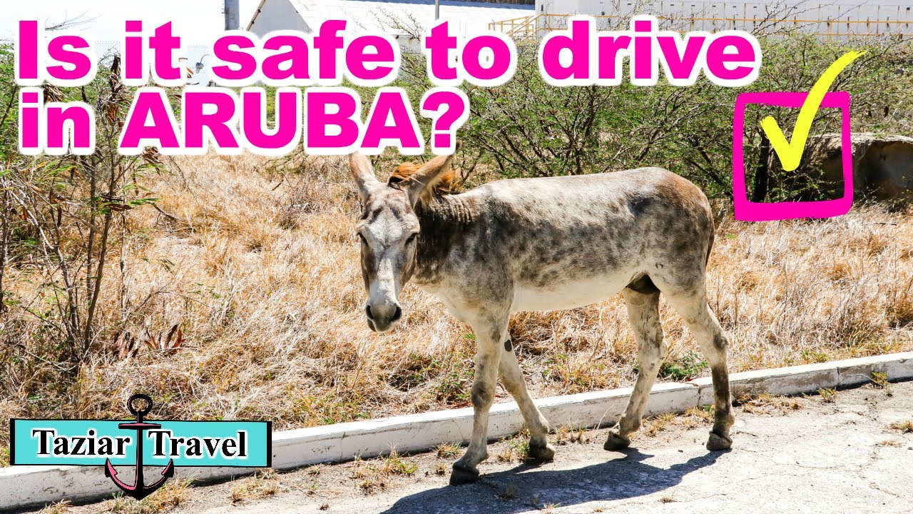 Driving In Aruba 🚗 | Is It Safe? | How Difficult Is It?