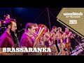 Brassaranka - Live am Woodstock der Blasmusik 2023