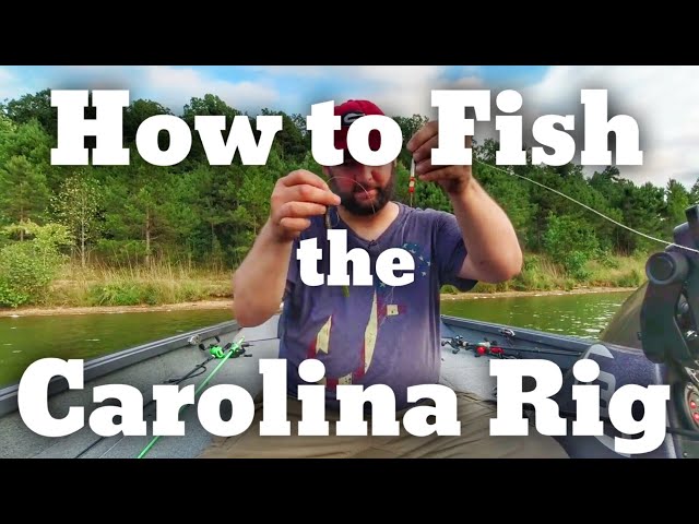 How to Fish the Carolina Rig - Bass Fishing 