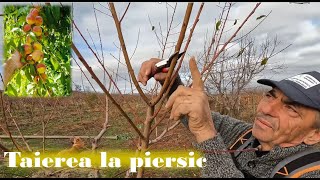 Tăierea la piersic