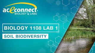 Biology Lab || Soil Biodiversity
