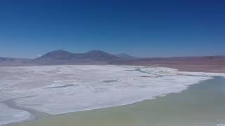 Parinas Salar del Huasco