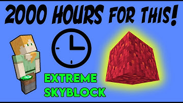 Waiting 2000 HOURS for 1 Block! [ProtoSky] EXTREME Nether Skyblock Ep.18