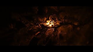 blanco billions - nocturnal (video)