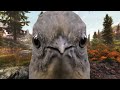 New Bird Species Discovered in Skyrim
