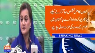 Pakistan's soft image in the world is the need of time, Maryam Orangzaib screenshot 3