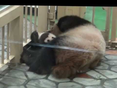 201209優浜公開１