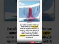 #mindrelic #facts #trending #viral #amazingfacts #shortsfeed #shorts