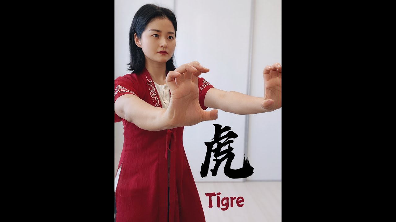 Ушу Кунг-фу и Casa Día 180 Цигун 5 элементов Tigre de Metal