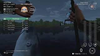 Fishing Planet 1st Place Cats'n Nightcatchers screenshot 2