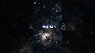 8월 별자리 운세 사수자리( (Sagittarius): 11월 23일 ~ 12월 21일  . 양력)  #명상…