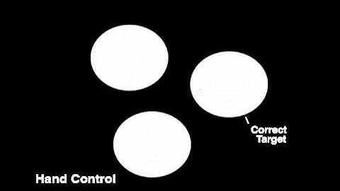 Monkeys Control Virtual Limbs With Their Minds (movie 1)