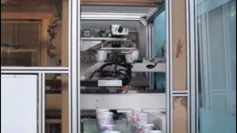 MAX Robot - In Mold Labelling Application