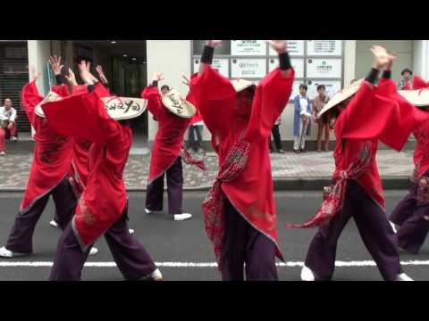 伊澤屋 2016小田原えっさホイ  2日目　栄町