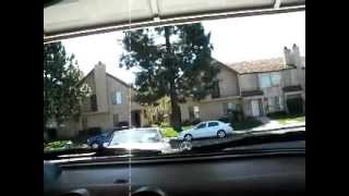 P1010137.AVI