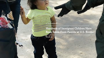 The Truth Is Worth It: Perseverance | The New York Times