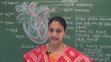 SSLC - SCIENCE - JEEVA KRIYEGALU - PART 6