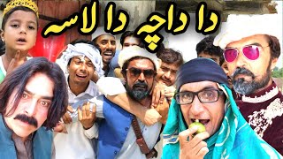 Da Da Cha Da Lasa Pashto Funny Video By Daji Gull Vines