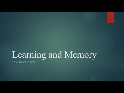 Learning And Memory - Neural Structures