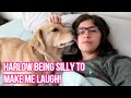 🐕 Service Dog’s FUNNY QUIRKS: Cheering Me Up on a HARD DAY 😥 (4/9/19)