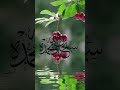 سبحان اللہ والحمد للہ #viralvideo #pleasesupportme