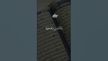 #احمد_العجمي #سورة_الشمس #والشمس_وضحاها #تلاوة_خاشعة #قرآن_كريم #صوت_يبكي_القلوب #القرآن_الهادئ #اسم