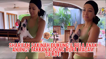 Sharifah Sakinah Dukung & Bela Anak Anjing? Takkan Kucing Rupa Macam Tu Kot!