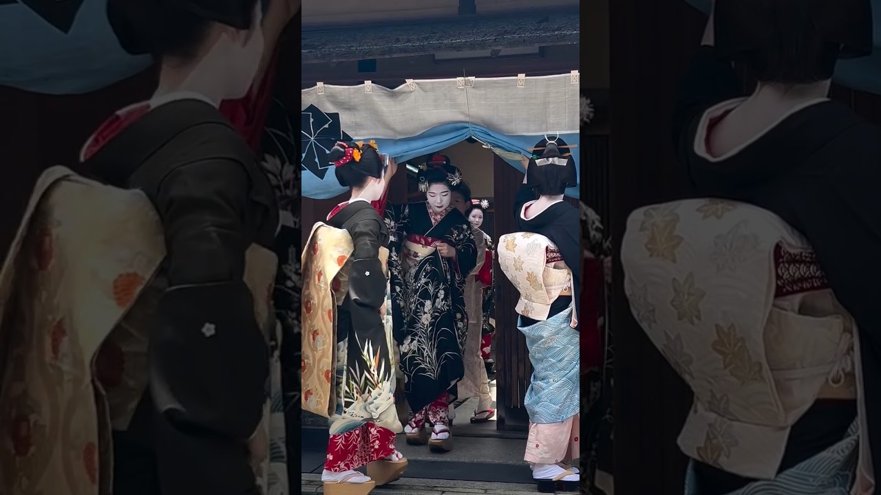 Maiko & Geiko Formal Summer Procession 👘 | August Tradition in Kyoto #gion #japan #shorts