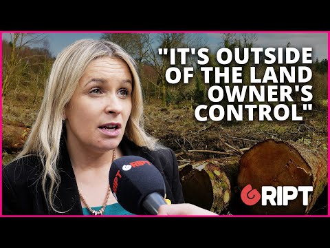 TD "very concerned" about tree-killing disease