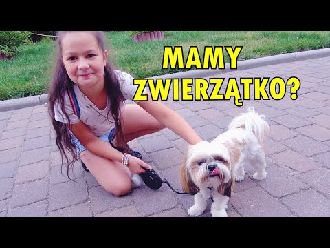 Wideo: Ciąża macierzyńska Pupa ma wszystko oprócz hashtagu