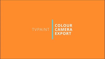 TVPAINT - CTG Colour, Camera & JSON Export Process