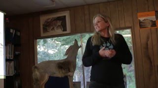 Project Coyote “Keeping It Wild” Youth Education Outreach Program