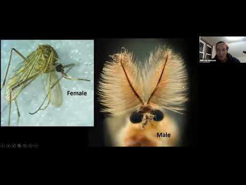 Insects a little known force of nature shaping your farmland Mike Bredeson, PhD
