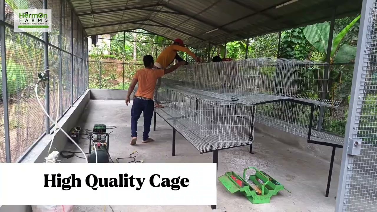 ഇത് ഒരു ലഘുവായ കോഴി ഫാമല്ല | 100% ഹൈജീനിക് എഗ്ഗ് ഫാം | മീൻമനസുമില്ല, ആന്റിബയോട്ടിക്കുമില്ല!