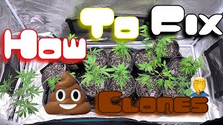 IM BACK , TO FIX MY GARBAGE GARDEN STEP 1