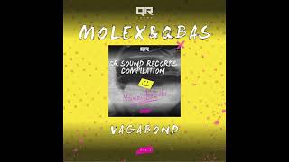 MOLEX., QBAS - VAGABOND (Original Mix) [QRS045: OUT NOW!] | Indie Dance