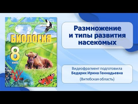 Тип Членистоногие. Тема 21. Размножение и типы развития насекомых