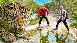 Buscando BEBEDEROS NATURALES en la SIERRA de SINALOA 🐆 | Jaguar